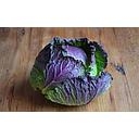 CHOU DE PONTOISE A PESER