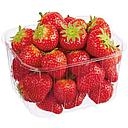 FRAISES 500 GR BIO