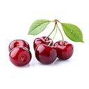 CERISES BIO A PESER