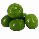 COURGE ZAPALLITO A PESER