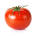 TOMATE CLASSIQUE Ch. Iserantant A PESER
