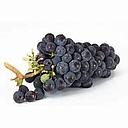 RAISIN NOIR LAVALLEE A PESER