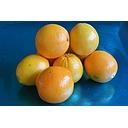 ORANGE A JUS A PESER