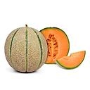 MELON CANTALOUP A PESER