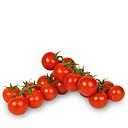 TOMATE COCKTAIL A PESER
