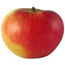 POMME ELSTAR BIO A PESER