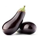AUBERGINE RUTH A PESER