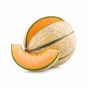 MELON TYPE CHARENTAIS