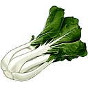 PAK CHOI A PESER