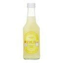 FRUJI PASTEQUE 25CL