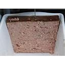 PATE AIL DES OURS A PESER