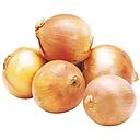 OIGNON ESPAGNE A PESER