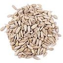 GRAINE DE PSYLLIUM BRUN VRAC