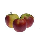 POMME SANTANA BIO A PESER (copie)