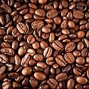 CAFE PREKO GRAIN VRAC