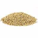 GOMASIO DE LA MER VRAC