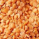 LENTILLE CORAIL VRAC