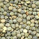 LENTILLE VERTE VRAC